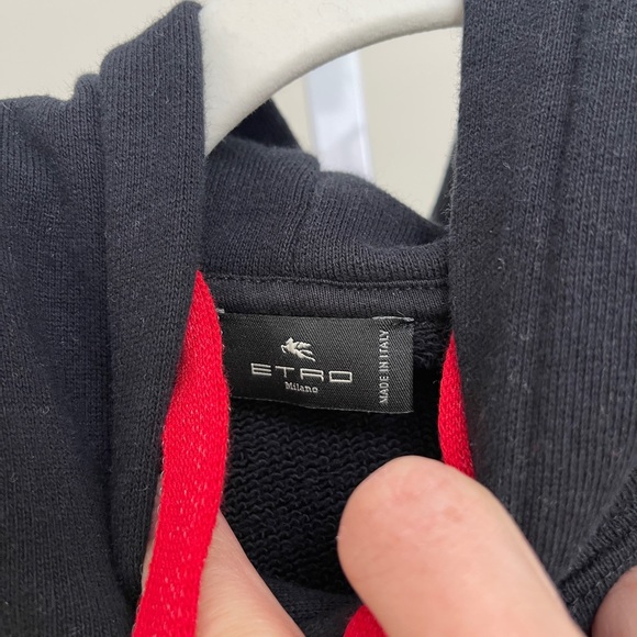 Etro  X Kungfu Panda Printed Drawstring Hoodie - Picture 7 of 10